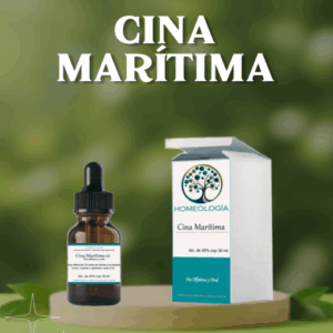 Cina Marítima 6x
